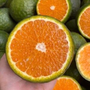 tinh dầu cam sành – năng lượng tươi sáng của niềm vui