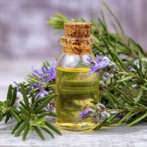 tinh dầu hương thảo – năng lượng tỉnh thức & sáng tạo