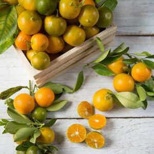 tinh dầu vỏ tắc (quất) – nguồn năng lượng tươi mới & hân hoan